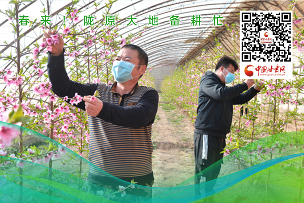 海報丨春來！隴原大地春耕忙