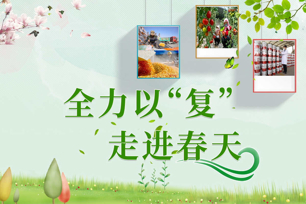 長(zhǎng)圖|全力以“復(fù)”！甘肅走進(jìn)春天里  