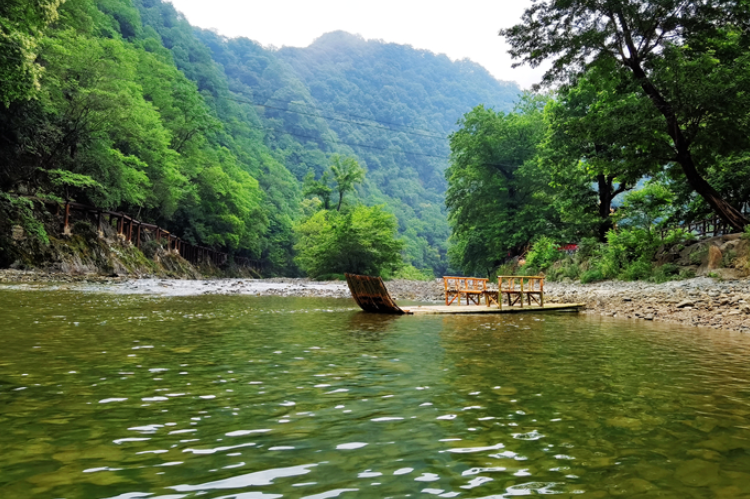 【小隴畫報(bào)·95期】康縣：來陽壩，“森”呼吸，我“氧”你