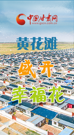 【跟著總書記看甘肅】長(zhǎng)圖|武威黃花灘盛開幸?；?