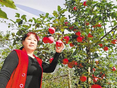 【走向我們的小康生活】馮巧葉，“大家一起過好日子”