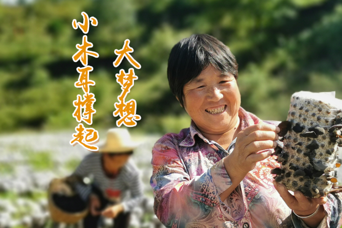 海報(bào)丨他們，乘“豐”破浪！