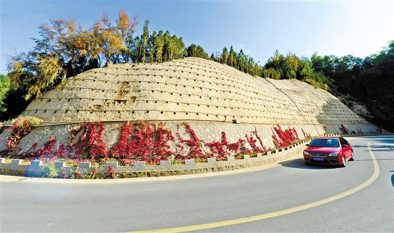 近90度陡坡上種樹！蘭州南北兩山綠化出新招