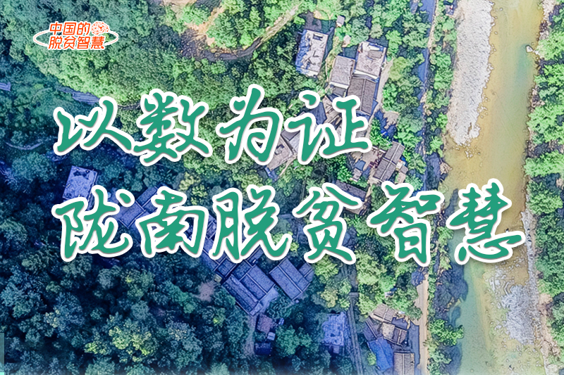【中國的脫貧智慧】以數(shù)為證！隴南脫貧智慧來了！