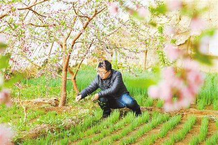 甘肅：時(shí)令催人耕種忙，不誤田間一季春