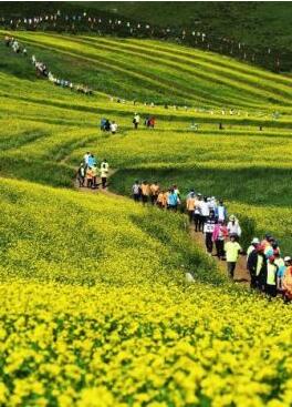 甘肅明確農(nóng)民進城落戶:不以退出承包地、林地等為條件
