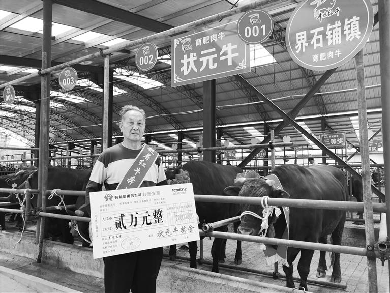 120頭“平?jīng)黾t?！膘o寧爭霸