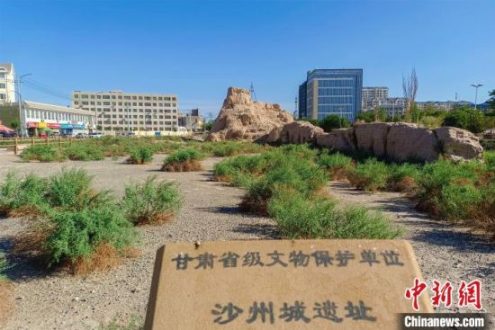 圖為沙州郡城遺址公園古遺址?！⊥醣筱y 攝
