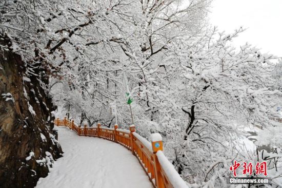 圖為上山的石階被雪覆蓋。張?zhí)鞂?攝