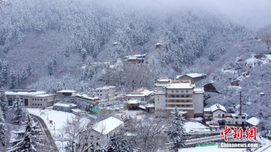 圖為籠罩在雪下的世界。吳永 攝