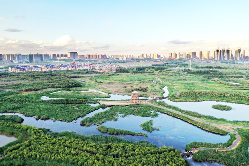 蘭州大學(xué)“實習基地”落戶蘭州新區(qū)