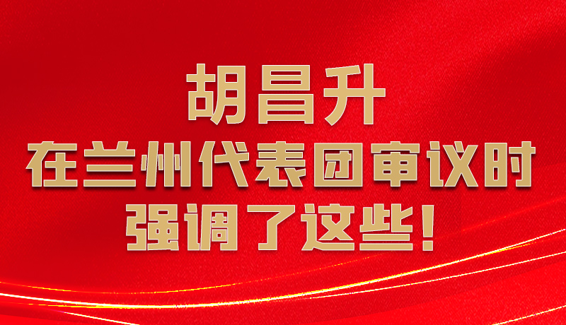 圖解|胡昌升在蘭州代表團審議時強調(diào)了這些！