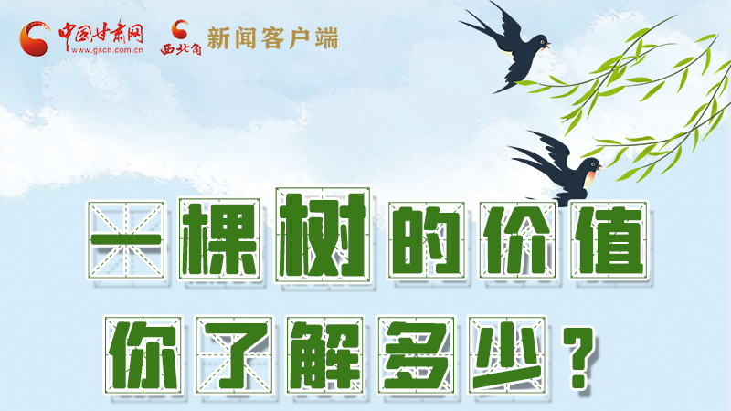 圖解|一棵樹(shù)的價(jià)值你了解多少?來(lái)看！