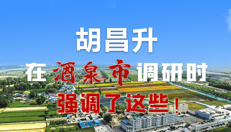圖解|胡昌升在酒泉市調(diào)研時強(qiáng)調(diào)了這些！