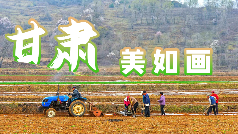 微海報|甘肅，美如畫