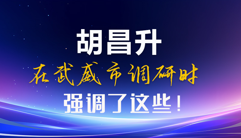 圖解|胡昌升在武威市調(diào)研時(shí)強(qiáng)調(diào)了這些！