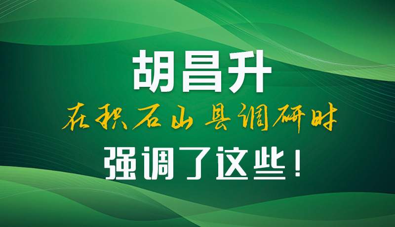 圖解|胡昌升在積石山縣調(diào)研時(shí)強(qiáng)調(diào)了這些！