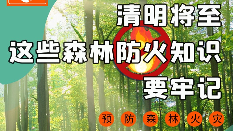【甘快看】圖解|緊繃“安全弦”！清明，這些森林防火知識要牢記